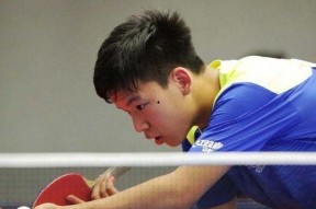 娱乐吃瓜小将王惠是谁啊